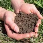 تحقیق-سلنیوم-و-اصلاح-آلودگی-آن-در-خاک