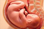 تحقیق-اقدامات-قبل-از-بارداری