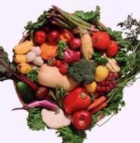 پاورپوینت معایب و مزایای رژیم غذایی گیاه خواری