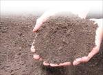 بررسی-اثر-شوری-آب-بر-خصوصیات-ژئوتکنیکی-خاک-های-ریزدانه