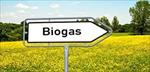 تحقیق-روش-تولید-بیوگاز-روش-ساخت-دستگاه-های-تولید-بیوگاز-و-تحلیل-بیوگاز-با-شبکه-عصبی-مصنوعی