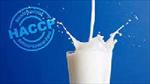 تحقیق-شيوه-(استراتژي)-در-شير-اِن-زِد-is-strategy-at-nz-milk