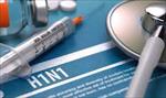 تحقیق-ويروس-آنفلوآنزاي-نوع-a-يا-h1n1-یا-آنفلوآنزاي-خوکي