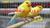 طرح توجیهی پرورش پرندگان زینتی (قناری) با ظرفیت دویست جفت سال 97