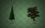 تحقیق-چوب-درختان-سوزنی-برگ-و-پهن-برگان