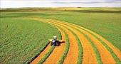 پاورپوینت استاندارد حسابداری شماره 26 فعالیتهای کشاورزی