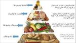 پاورپوینت-ثبات-وزن-(weight-loss-plateau)-در-برنامه-های-کاهش-وزن-چالشي-براي-متخصصين-تغذيه