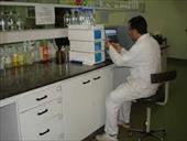 گزارش کارآموزی در آزمایشگاه شرکت داروسازی
