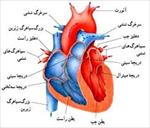پاورپوینت-بررسی-بیماری-های-مادرزادی-قلب
