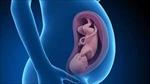 پاورپوینت-تغییرات-و-تطابق-بارداری