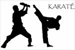 تحقیق-کاراته