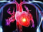 تحقیق-پیشگیری-از-بیماری-های-قلبی-عروقی-(عوامل-خطر-و-روش-های-پیشگیری)