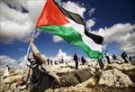 تحقیق-فلسطین
