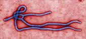 پاورپوینت شایعات و واقعیت ها در مورد بیماری ویروس ابولا
