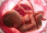 پاورپوینت-جنین-شناسی-و-آنچه-درباره-اش-نمی-دانیم