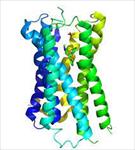 پاورپوینت-نقش-گیرنده-های-مرکزی-هیستامینی-(-h1-و-h2-و-h3-و-h4-)در-اعمال-فیزیولوژیک-بدن