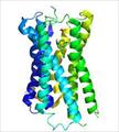 پاورپوینت نقش گیرنده های مرکزی هیستامینی ( H1 و H2 و H3 و H4 )در اعمال فیزیولوژیک بدن