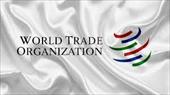 تحقیق ایران و سازمان تجارت جهانی