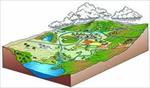 پاورپوینت-بررسی-پتانسیل-تولید-رواناب-در-حوزه‌های-آبخیز-کوچک-(مطالعه-موردی-حوزه-آبخیز-سنگانه-کلات)