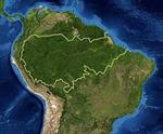 تحقیق-جنگلهای-آمازون