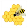 پاورپوینت الگوریتم کلونی زنبورعسل مصنوعی