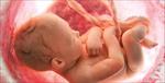 پاورپوینت-آزمایشات-قبل-از-تولد-جنین