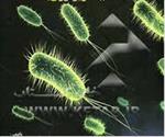 جزوه-میکروبیولوژی-عمومی-براساس-کتاب-دکتر-محبوبه-میرحسینی