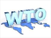 تحقیق سازمان تجارت جهانی (WTO)