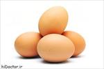 پاورپوینت-تخم-مرغ