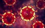 تحقیق-آشنایی-با-ویروس-کرونا-(منشأ-علائم-راه‌-های-پیشگیری-و-درمان-شیوع-در-ایران)