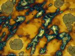 پاورپوینت-تصاویر-میکروسکوپی-از-ریزساختار-فلزات