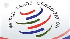 مقاله به همراه ترجمه با موضوع موافقتنامه های تجاری گروهی و آینده تجارت چندجانبه