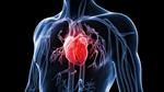 پاورپوینت-ارزیابی-سیستم-قلب-و-عروق