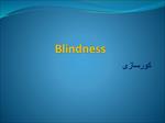 پاورپوینت-کورسازی-blindness