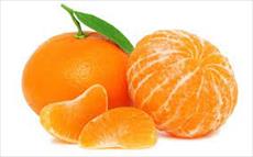 تحقیق نارنگى