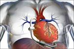 پاورپوینت-معاینه-فیزیکی-قلب-ریه-شکم