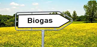 تحقیق روش تولید بیوگاز، روش ساخت دستگاه های تولید بیوگاز و تحلیل بیوگاز با شبکه عصبی مصنوعی